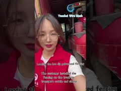 لوحة سياج مثلثة شبكية سلكية زخرفية عالية الأمان بلون مخصص