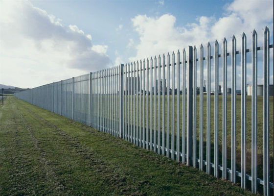 Galvanized and Powder Coated Steel Palisade Fencing W/D Type for High Security